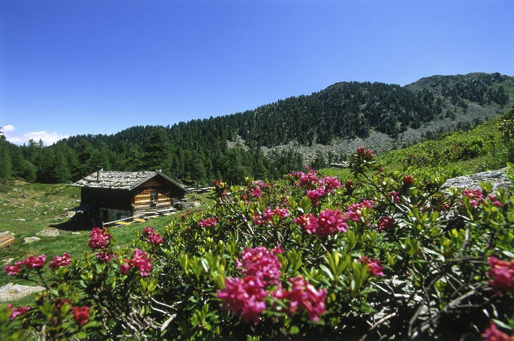 Residence Feldhof Кастелбело Екстериор снимка